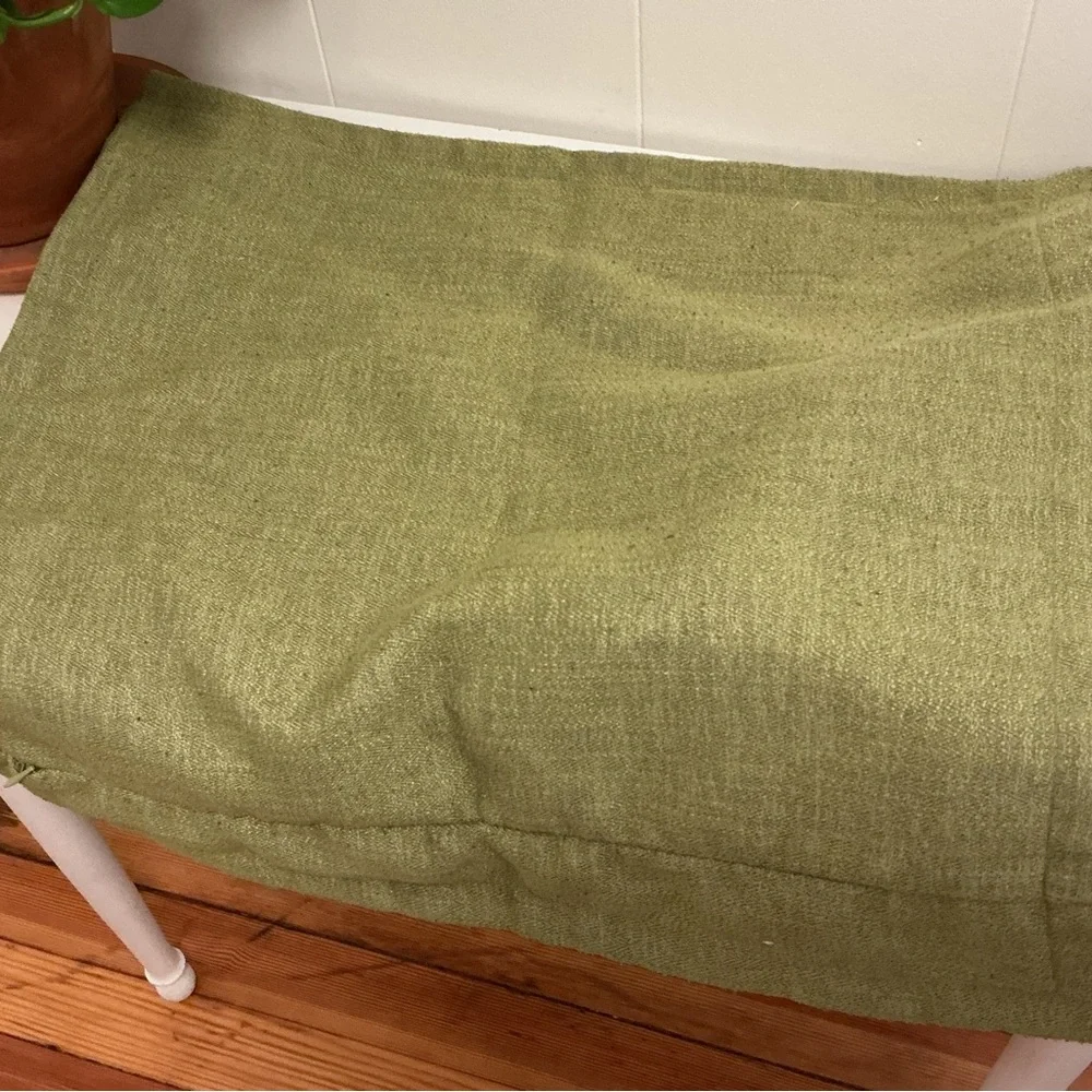 Crate & Barrel Accent Pillow